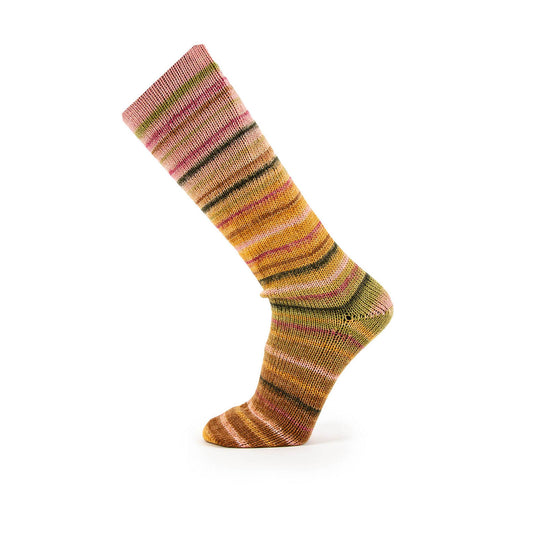 Katia Symmetric Socks & More Paradise | Self-Striping Sock Yarn for Matching Socks