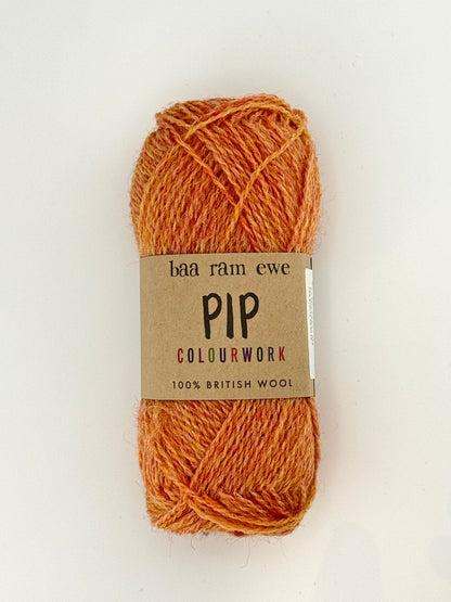 baa ram ewe Pip Colourwork 4ply | ColourPopCrafts