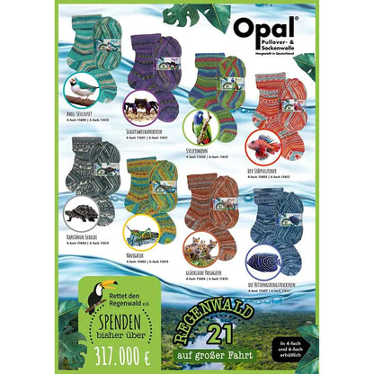 Opal Rainforest 21 4-Ply Sock Yarn | ColourPopCrafts