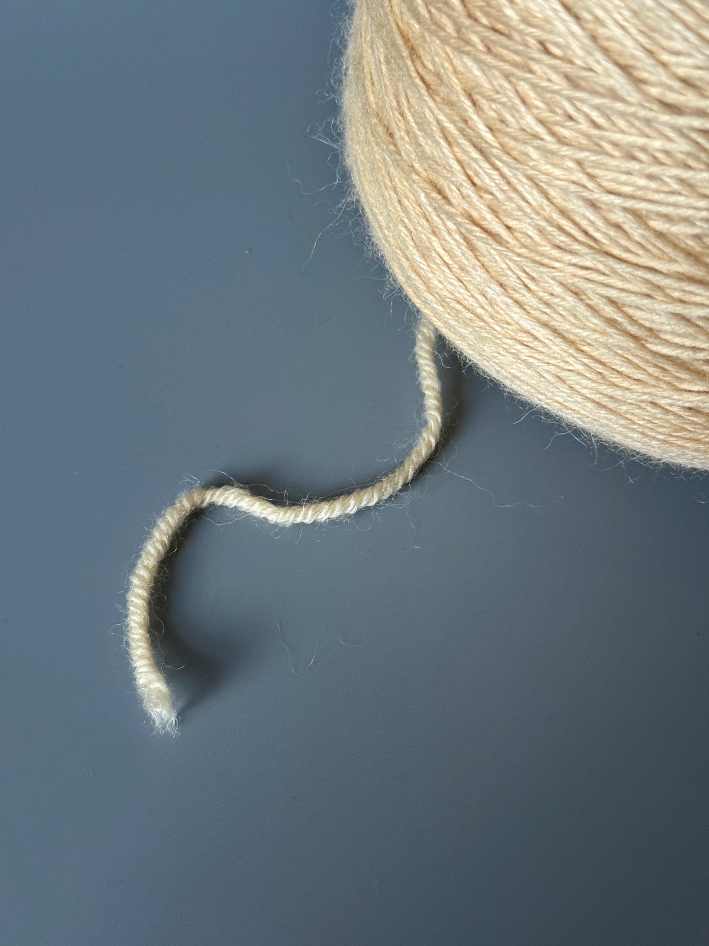 Queenotto Wool & Cashmere Yarn | Pale Oat
