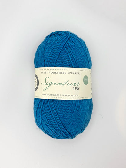 WYS Signature 4ply Sock Yarn | ColourPopCrafts