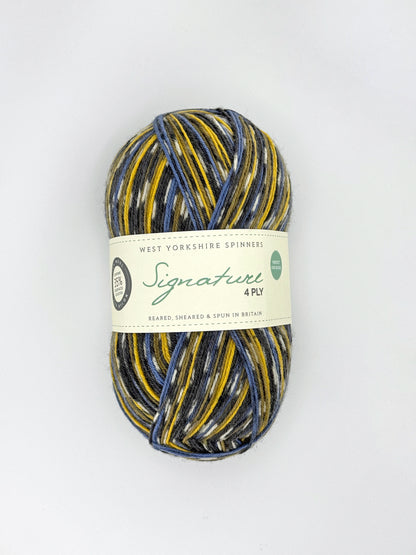 WYS Signature 4ply Country Birds