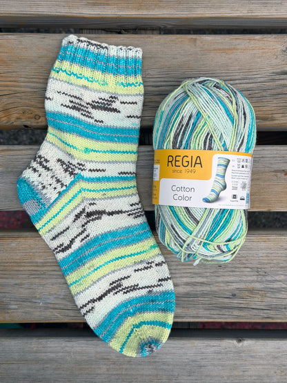 REGIA Color Cotton