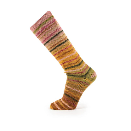 Katia Symmetric Socks & More Paradise | Self-Striping Sock Yarn for Matching Socks